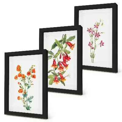 Set ingelijste schilderijen met vintage retro bloemenmotief