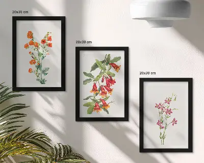 Set ingelijste schilderijen met vintage retro bloemenmotief