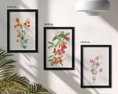 Set van ingelijste schilderijen Vintage retro bloemenschilderij