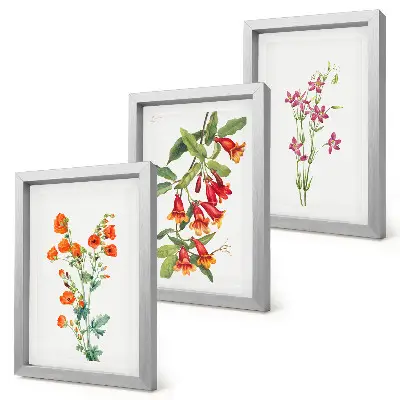 Set ingelijste schilderijen met vintage retro bloemenmotief