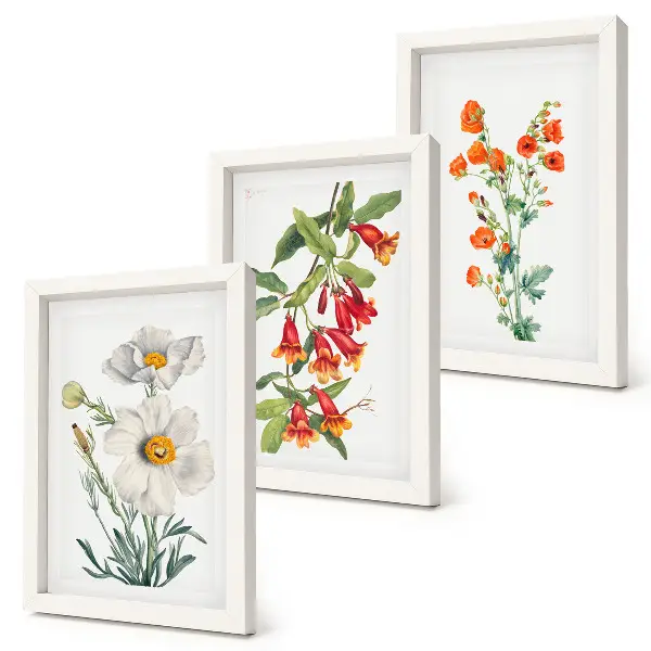 Bloemcomposities retro vintage schilderij gallery wall