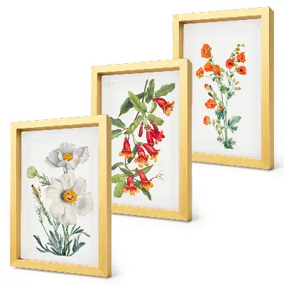 Bloemcomposities retro vintage schilderij gallery wall