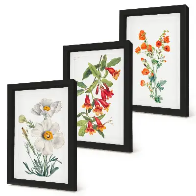 Bloemcomposities retro vintage schilderij gallery wall