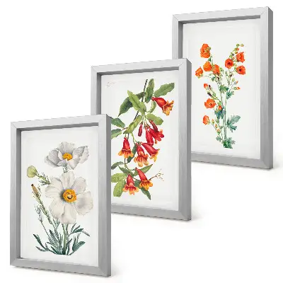 Bloemcomposities retro vintage schilderij gallery wall