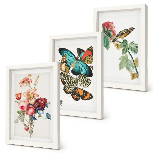 Set ingelijste schilderijen met bloemen, vlinders en een vogel in pastelkleuren