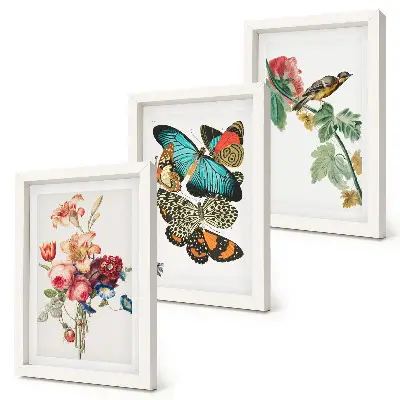 Set ingelijste schilderijen met bloemen, vlinders en een vogel in pastelkleuren