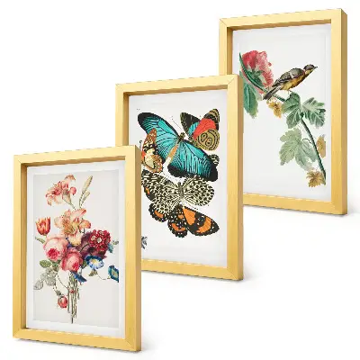 Set ingelijste schilderijen met bloemen, vlinders en een vogel in pastelkleuren