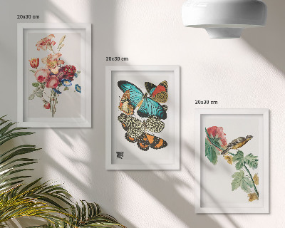 Set van ingelijste schilderijen Bloemen, vlinders en een vogel in pastelkleuren.