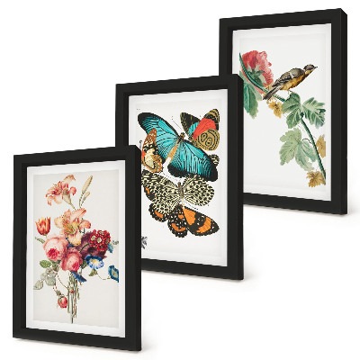 Set van ingelijste schilderijen Bloemen, vlinders en een vogel in pastelkleuren.