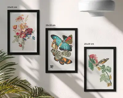 Set ingelijste schilderijen met bloemen, vlinders en een vogel in pastelkleuren