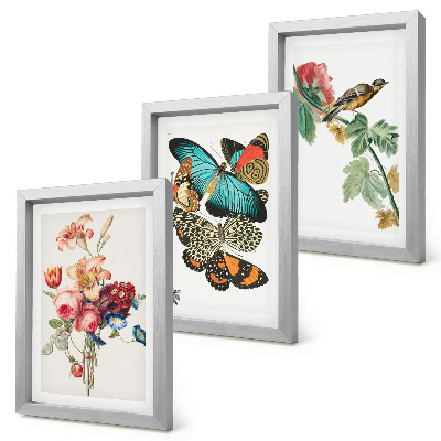 Set van ingelijste schilderijen Bloemen, vlinders en een vogel in pastelkleuren.