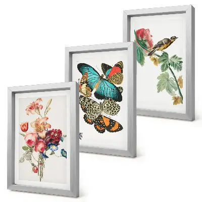 Set ingelijste schilderijen met bloemen, vlinders en een vogel in pastelkleuren