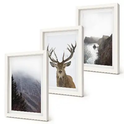 Set van ingelijste schilderijen Berglandschap met mist, water en herten.