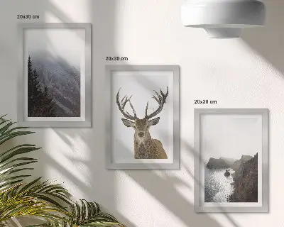 Set van ingelijste schilderijen Berglandschap met mist, water en herten.