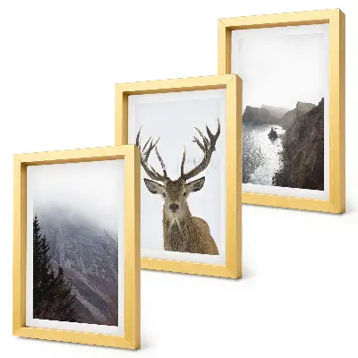 Set van ingelijste schilderijen Berglandschap met mist, water en herten.