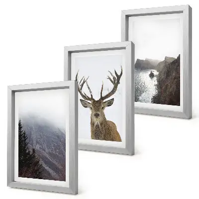 Set van ingelijste schilderijen Berglandschap met mist, water en herten.