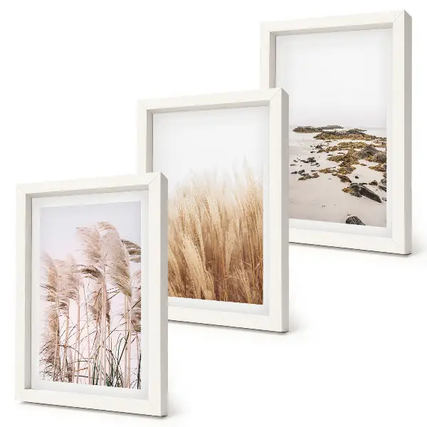 Gallery wall met pampasgrasvelden en een bohemien strand