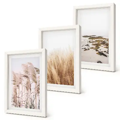 Gallery wall Pampasgrasvelden en een bohemienstrand