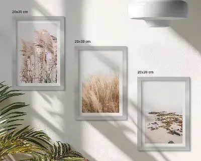 Gallery wall met pampasgrasvelden en een bohemien strand
