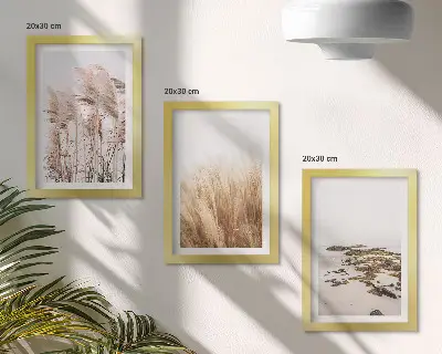 Gallery wall met pampasgrasvelden en een bohemien strand