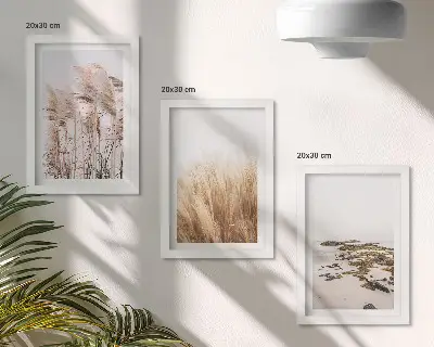 Gallery wall met pampasgrasvelden en een bohemien strand