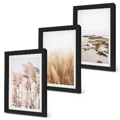 Gallery wall met pampasgrasvelden en een bohemien strand