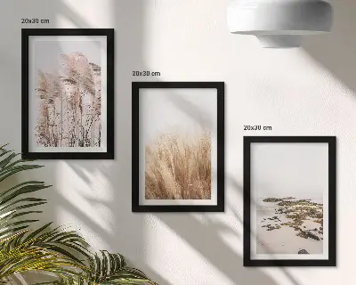 Gallery wall met pampasgrasvelden en een bohemien strand