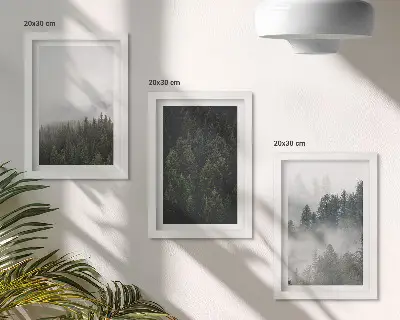 Set ingelijste schilderijen met groene bossen in een mistige natuurlijke omgeving