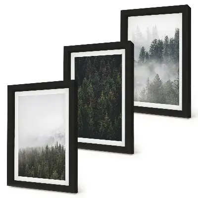 Set ingelijste schilderijen met groene bossen in een mistige natuurlijke omgeving