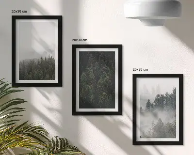 Set ingelijste schilderijen met groene bossen in een mistige natuurlijke omgeving