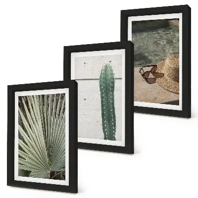 Gallery wall met tropische planten en accessoires voor een vakantie aan het water