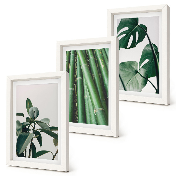 Gallery wall Bamboe stengels, kamerplanten en monstera bladeren
