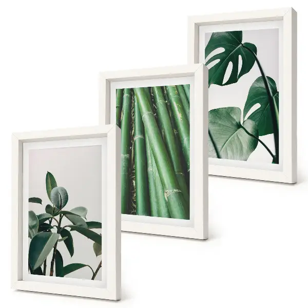 Gallery wall met bamboestengels, kamerplanten en monsterabladeren
