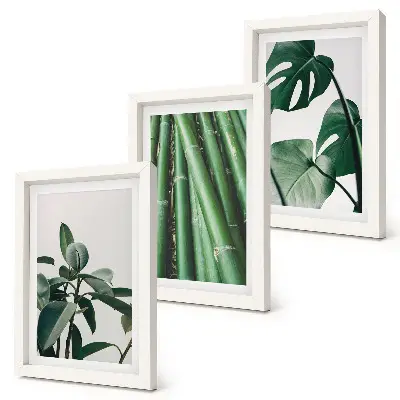 Gallery wall met bamboestengels, kamerplanten en monsterabladeren