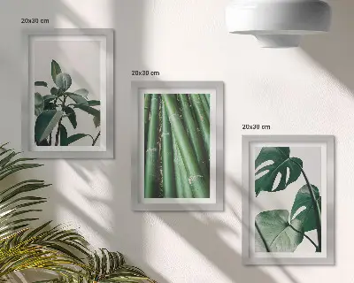 Gallery wall met bamboestengels, kamerplanten en monsterabladeren