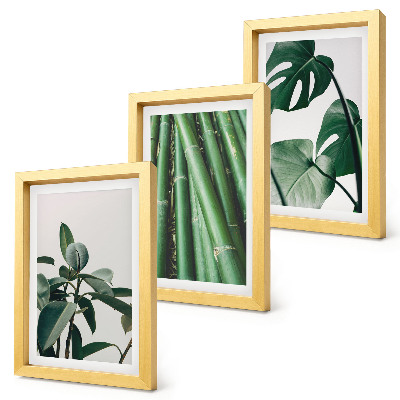 Gallery wall Bamboe stengels, kamerplanten en monstera bladeren