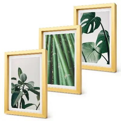 Gallery wall met bamboestengels, kamerplanten en monsterabladeren