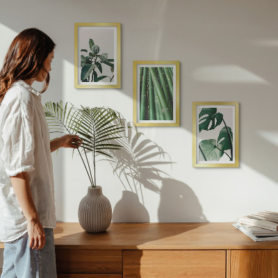 Gallery wall Bamboe stengels, kamerplanten en monstera bladeren