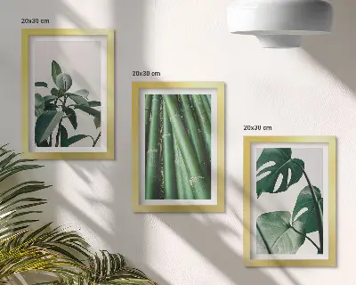 Gallery wall met bamboestengels, kamerplanten en monsterabladeren