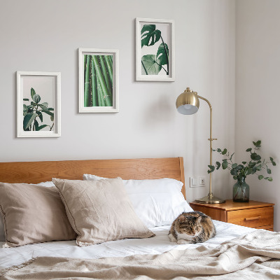 Gallery wall Bamboe stengels, kamerplanten en monstera bladeren