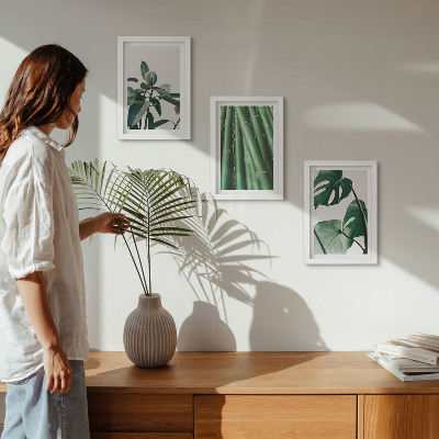 Gallery wall Bamboe stengels, kamerplanten en monstera bladeren