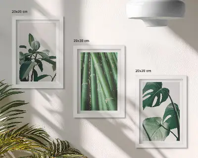 Gallery wall met bamboestengels, kamerplanten en monsterabladeren