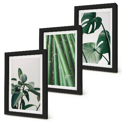 Gallery wall Bamboe stengels, kamerplanten en monstera bladeren