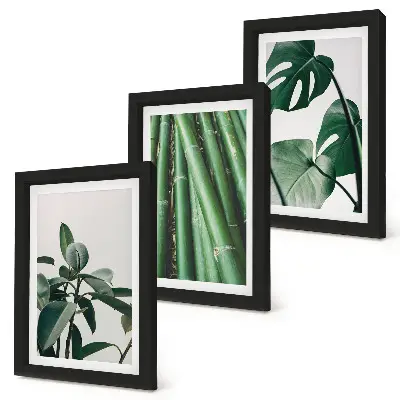 Gallery wall met bamboestengels, kamerplanten en monsterabladeren
