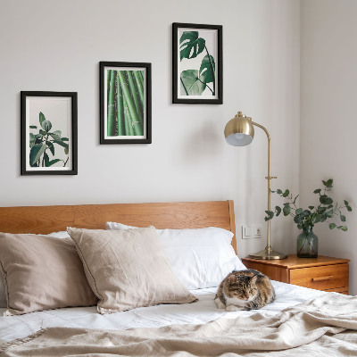 Gallery wall Bamboe stengels, kamerplanten en monstera bladeren