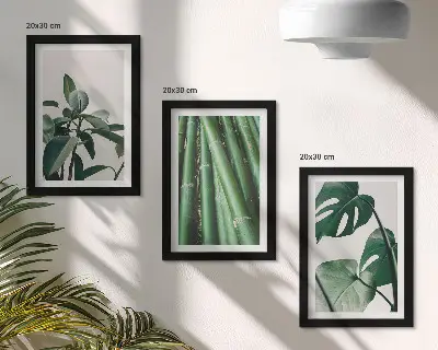 Gallery wall met bamboestengels, kamerplanten en monsterabladeren