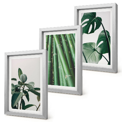 Gallery wall Bamboe stengels, kamerplanten en monstera bladeren