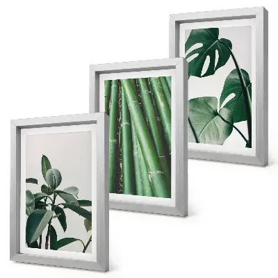 Gallery wall met bamboestengels, kamerplanten en monsterabladeren