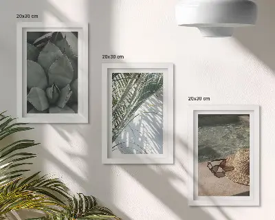 Set van ingelijste schilderijen met tropische planten en vakantieaccenten