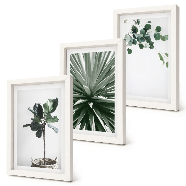 Gallery wall Groene planten in een minimalistische stijl